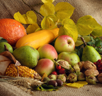 Fall Food
